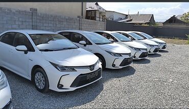 corolla runx: Toyota Corolla: 2019 г., 1.8 л, Робот, Гибрид, Седан