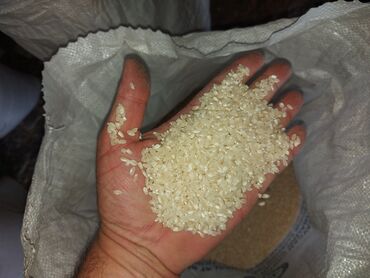 Yarmalar və paxlalar: Ağdaş düyüsü – yerli, tam orqanik məhsul. Öz kəndimizin məhsuludur — 7