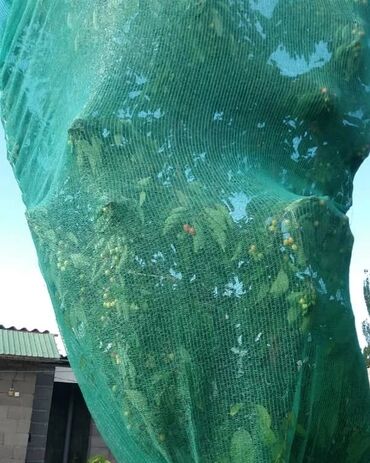 Декор для дома и сада: Декор для дома и сада — 6