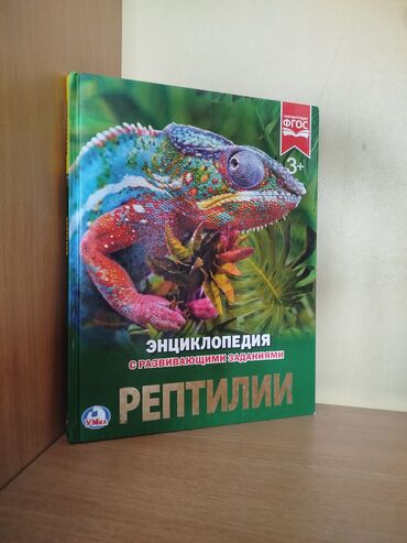 Детские книги: Книжки сказки📚
