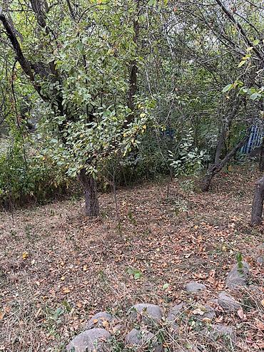 Продажа участков: 6 соток, Красная книга, Тех паспорт, Договор дарения at lalafo.kg — 5 Продажа участков: 6 соток, Красная книга, Тех паспорт, Договор дарения — 5