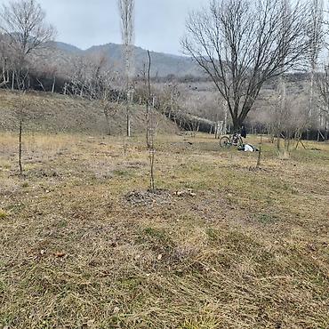 Torpaq sahələrinin satışı: Kənd təsərrüfatı, Kupça (Çıxarış) — 12