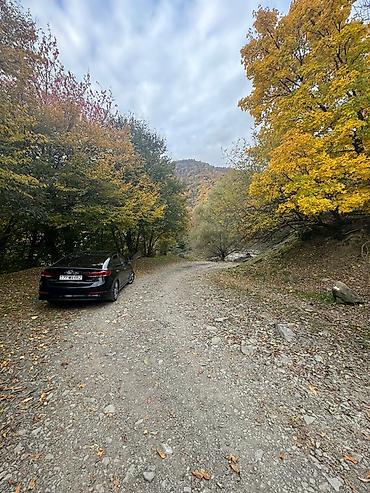 bineqedi heyet: Zaqatala rayonu, Car kəndində torpaq sahəsi satılır 📍 Sakit və — 6