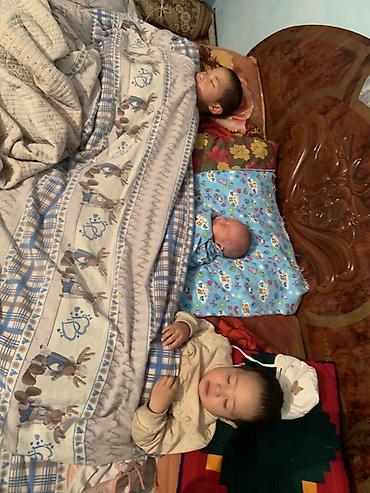 Комплекты постельного белья: Детское постельное бельё с милым рисунком лосей - Комплект — 1