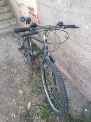 Bicikli za odrasle: Planinski bicikl Grizzly – čelični ram, 24” - Veličina točkova: 24” - — 6