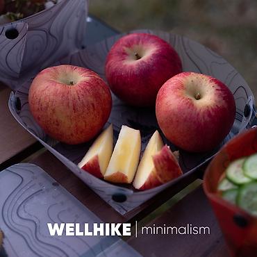card: Складная тарелка Wellhike (Card folding dinner plate) - Материал — 2