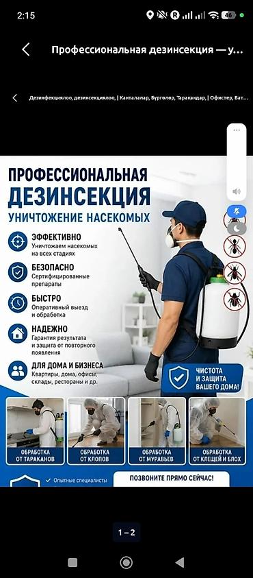 Клининговые услуги: Дезинфекция, дезинсекция, | Клопы, | Дома — 2