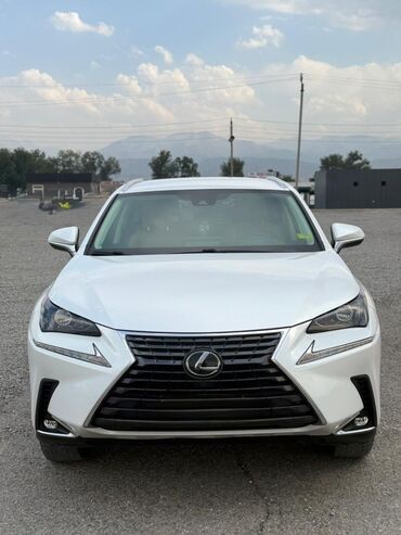 автомобили токмок: Lexus NX: 2019 г., 2 л, Автоматтык, Бензин, Кроссовер