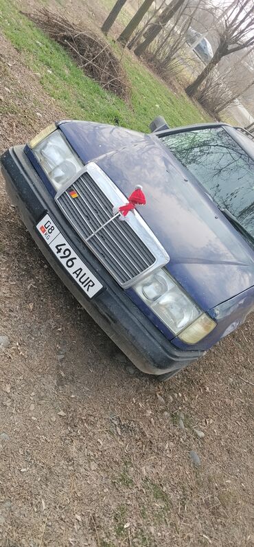 Mercedes-Benz: Mercedes-Benz W124: 1989 г., 2.3 л, Механика, Бензин, Универсал — 1