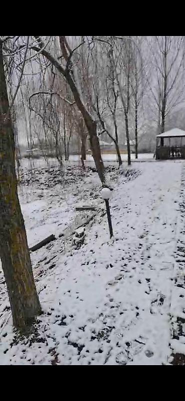 Bağ evlərinin satışı: Qəbələ, 16000 kv. m, 3 otaqlı, Hovuzsuz, İnternet — 12