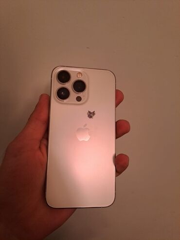 İnformatika: IPhone 13 Pro, Ağ