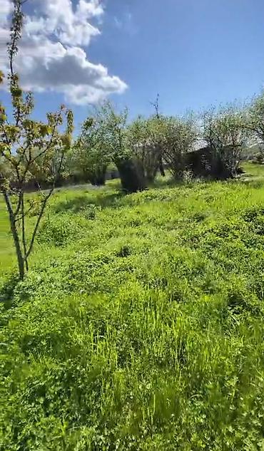 vendam: 10 sot, Kupça (Çıxarış) — 2