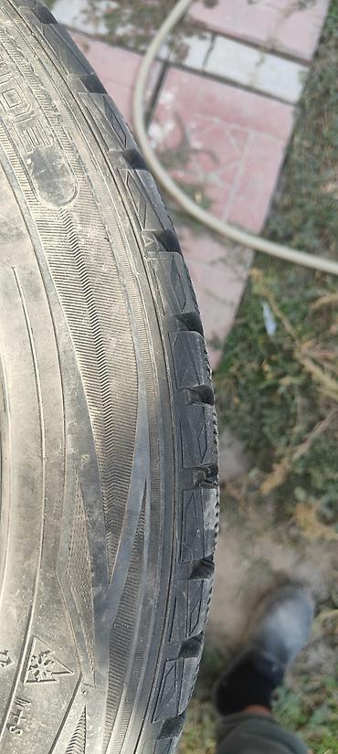 netta l: Шины 225 / 50 / R 18, Зима, Б/у, Комплект, Легковые, Япония, Dunlop — 3