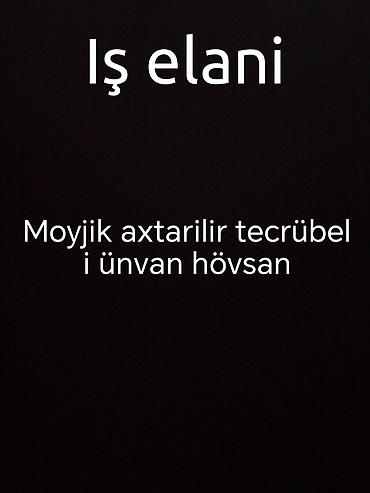 reception is elanlari: İş elanı: Avtoyuma üçün təcrübəli moyşik tələb olunur. İş yeri — 1