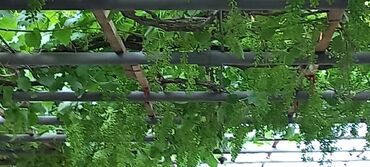 Həyət evləri və villaların satışı: Ev Xaçmaz-Xudat yoluna yaxın məsafədə yerləşir.25 sot həyətyanı sahədə -da lalafo.az — 14 Həyət evləri və villaların satışı: Ev Xaçmaz-Xudat yoluna yaxın məsafədə yerləşir.25 sot həyətyanı sahədə — 14