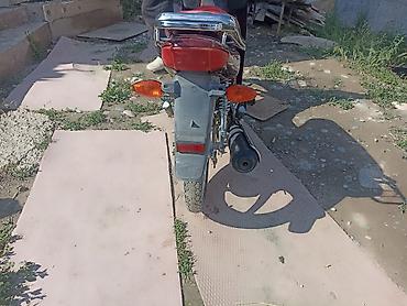 мопед alpha: Скутер-куб Honda (тип Cub/Alpha), бордовый цвет. Характеристики и — 2