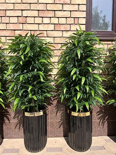 Декоративные цветы: 🌿 Мы — Mayram Decor KG, ваш надежный партнёр в создании эффектных и — 20