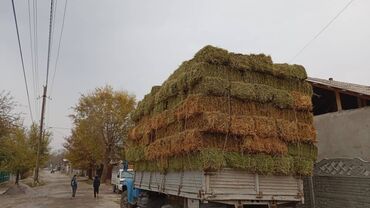 дом для животных: Сено в тюках (прессованное) - Тип: луговое/кормовое сено в