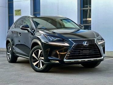 лексуз харер: Lexus NX: 2020 г., 2.5 л, Вариатор, Гибрид, Кроссовер
