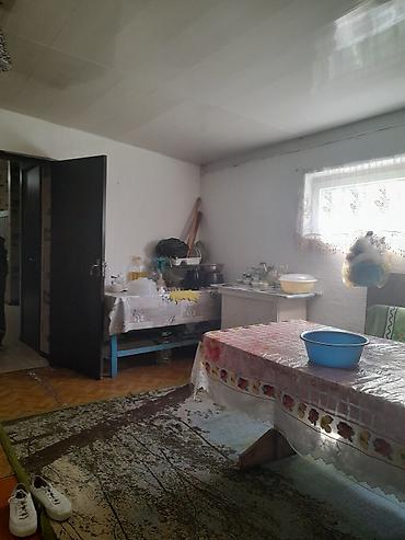Продажа коттеджей и домов: Продаю дом+кошару в совхозе Ала-Тоо у подножия горы, есть условия для — 14