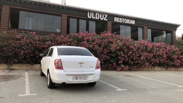 Xadimələr, təmizlikçilər: Ofisiant tələb olunur, Restoran, Gündəlik ödəniş, İstənilən yaş, 1-2 illik təcrübə