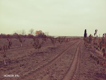 Torpaq sahələrinin satışı: Mülkiyyətçi — 6