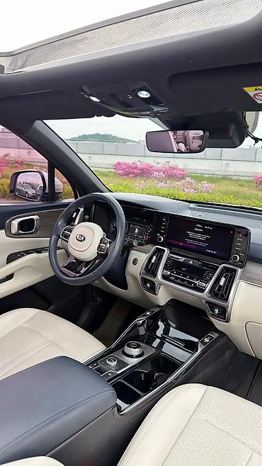 Kia: Kia Sorento: 2020 г., 1.6 л, Автомат, Гибрид — 14