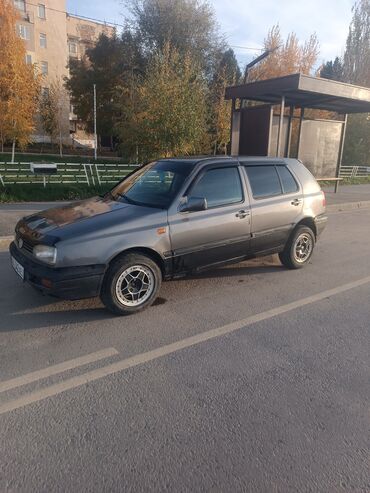 аксессуары на автомобиль: Volkswagen Golf: 1993 г., Бензин, Хетчбек