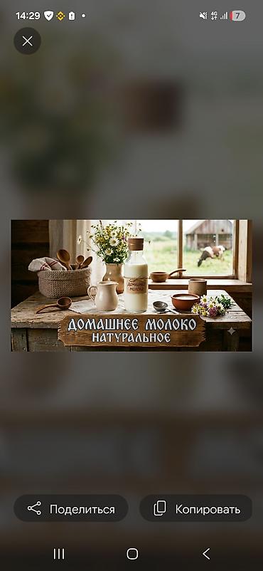 **Домашнее натуральное молоко** жирность 4.2 белок 3.9 плотность 2.9