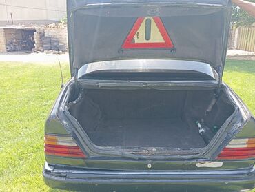 Mercedes-Benz: Mercedes-Benz 250: 2.5 l | 1991 il Van body type — 7