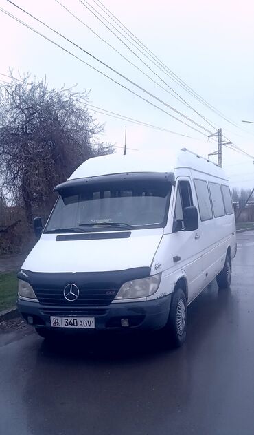 Mercedes-Benz: Mercedes-Benz Sprinter: 2002 г., 2.2 л, Механика, Дизель, Бус