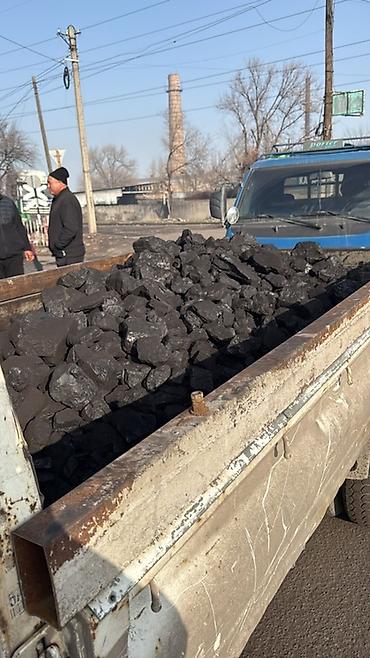 Уголь другого месторождения: Каменный уголь фракции “орех/крупный”. Описание: - Натуральный — 11