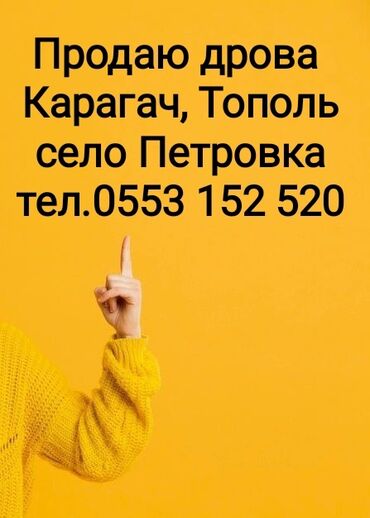 спартивный форма: Продаю дрова тополь, карагач 
село Петровка 
тел