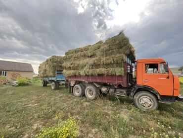 камаз самосвал жалал абад: Грузовик, Камаз, Стандарт, Б/у