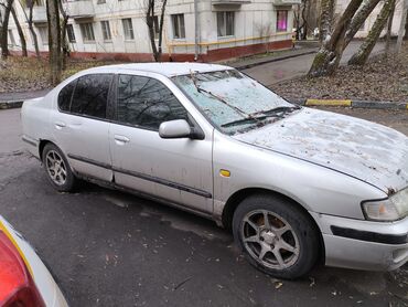 машина в аренду с выкупом: Nissan Primera: 1999 г., 2 л, Механика, Бензин, Седан