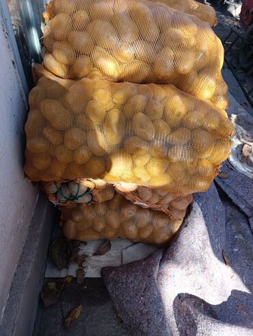 упаковочный пакеты: Картошка Джелли, В розницу at lalafo.kg упаковочный пакеты: Картошка Джелли, В розницу