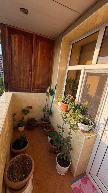 Köhnə tikili: Bakı, 7-ci mikrorayon, 3 otaqlı, Köhnə tikili, m. Dərnəgül, 71 kv. m — 10