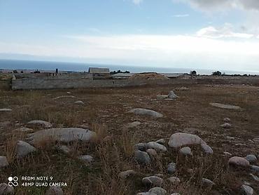 Продажа участков: 30 соток, Красная книга — 8