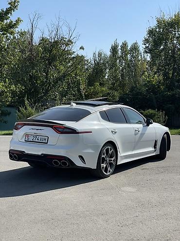 k7 2017: Kia Stinger: 2019 г., 2 л, Автомат, Бензин, Лифтбек — 4