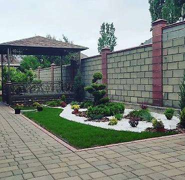 маравила: 🌿Газон автополив 🏡ландшафтный дизайн 🏡 Посадка Растений и цветов.🌲 — 4