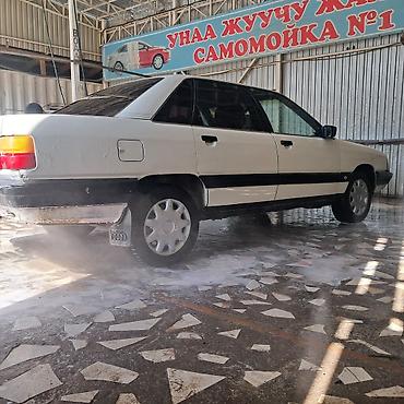 аули 80: Audi 100: 1989 г., Седан — 3