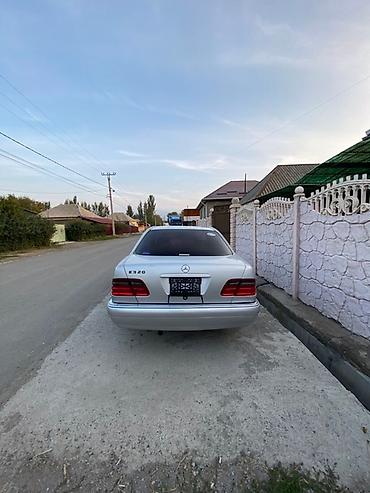 телефон w210: Mercedes-Benz E-Class: 1996 г., 3.2 л, Автомат, Бензин, Седан — 3