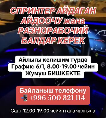 работа на ош базаре: СПРИНТЕР АЙДАГАН АЙДООЧУ жана РАЗНОРАБОЧИЙ КЕРЕК Айлыгы келишим түрдө