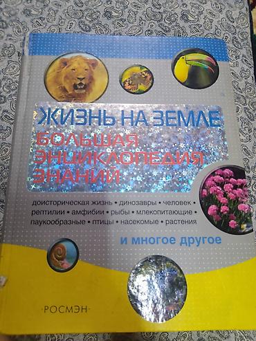 Детские книги: Подборка книг сказочно‑приключенческого жанра: 1) А. С. Пушкин — — 17