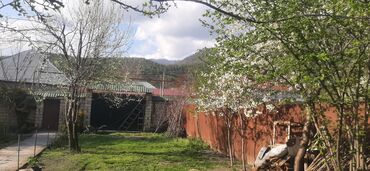 samaxida torpaq: Tikinti, Mülkiyyətçi, Kupça (Çıxarış)