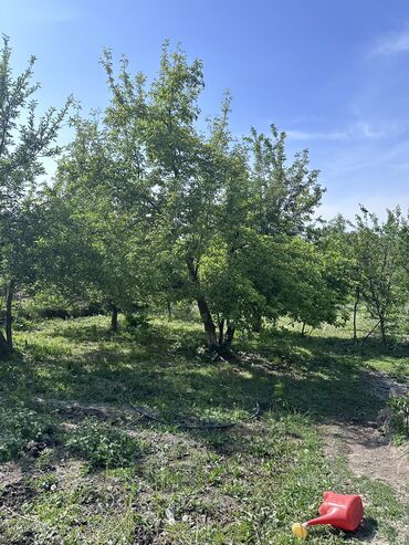 Продажа участков: 16 соток, Для бизнеса, Красная книга, Тех паспорт, Договор купли-продажи