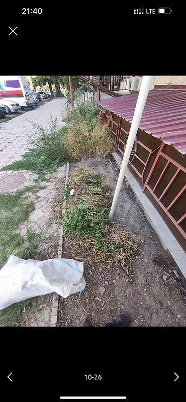 Дворники, садовники: 🌱Я садовник приходящий раз в неделю уборку сада генеральный уборка at lalafo.kg — 7 Дворники, садовники: 🌱Я садовник приходящий раз в неделю уборку сада генеральный уборка — 7