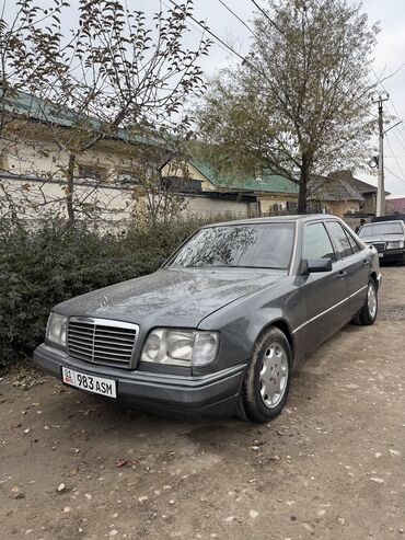 Mercedes-Benz: Mercedes-Benz W124: 1995 г., 2.2 л, Автомат, Бензин, Седан