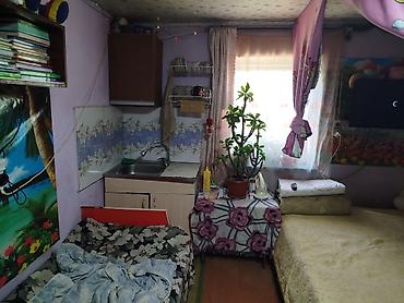 Дома: Срочно продаётся дом с двумя участками,на участке имеется молодой — 5