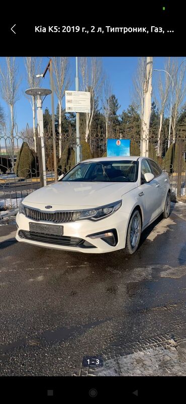 токмок машына: Kia K5: 2019 г., 2 л, Автомат, Бензин, Седан